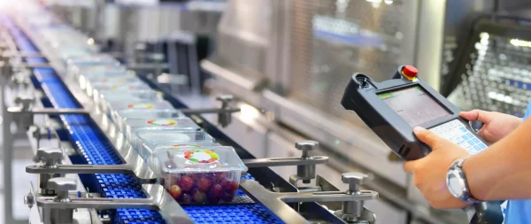 manager-check-control-automation-food-products-boxs-transfer-automated-conveyor-systems-factory copia food security in the UAE